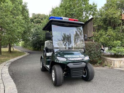 合江4座电动巡逻车供应商