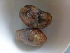 绍兴私人收购牛宝联系方式
