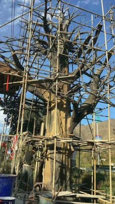拉萨水泥假树多少钱