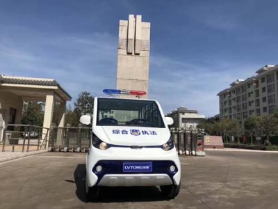 安康6座电动巡逻车定制