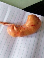 宝鸡牛宝现金收购