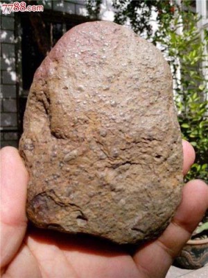 乌海个人收购火星陨石电话