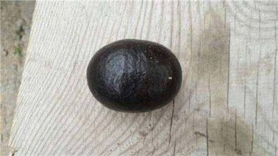 日照私人收购羊宝