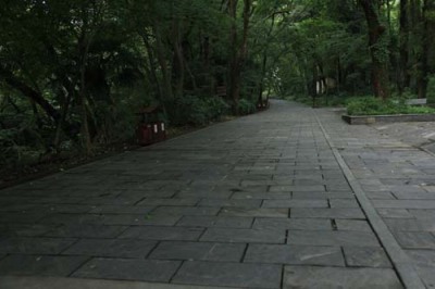 中沙群岛的岛礁及其海域天然青石板石材价格