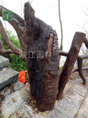 阳西县河道护栏设计施工