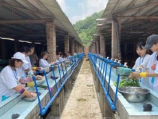 增城市靠譜團建公司一日游