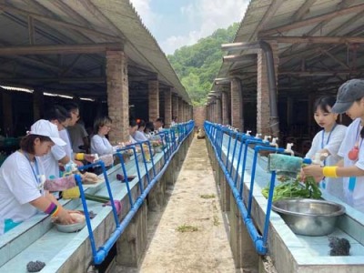 高明区高质量团建拓展周边游不能错过
