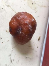邯鄲拍賣牛寶中心