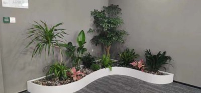 塘桥专业绿植租摆公司电话多少