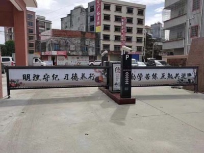 梅州安全通道升降柱定制
