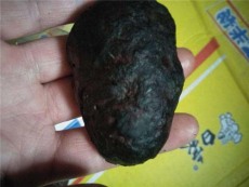 福州私下上门收购猪宝电话多少