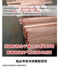 毕节木门拼木胶什么品牌好