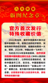 北京九龙荣耀版图纪念章