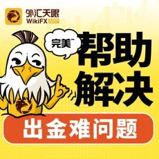 广东外汇交易TigerWit老虎外汇开户流程