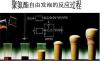 防火保温料黑白聚氨酯原材料厂家批发