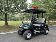 岳阳厂区电动巡逻车多少钱