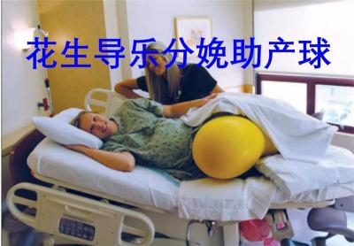 老牌企业湖南中伦花生分娩球镇痛分娩减轻医