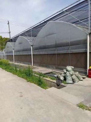 南沙群岛蔬菜温室镀锌钢管设计施工报价