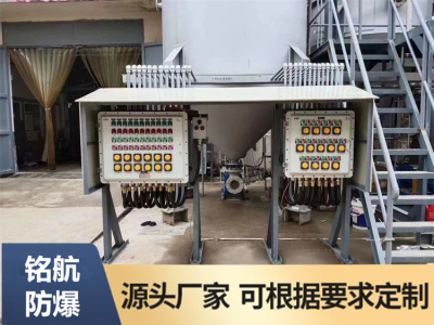 鋼板焊接防爆配電柜照明動力柜 非標定制