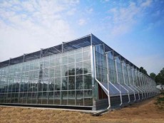 克拉玛依农业温室大棚专业建造，多年经验