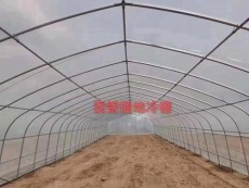 黄山农业温室大棚安装工程