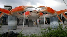 池州卡通玻璃钢雕塑厂家