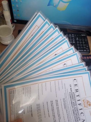 广州体系认证咨询公司