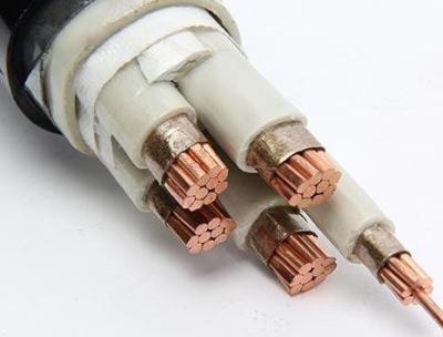 FSY-WDZB-YJY防鼠蚁电力电缆专业生产厂家