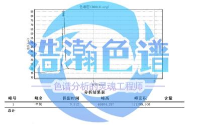 岛津GC2030玻璃球色谱柱分析yao典二氧化碳