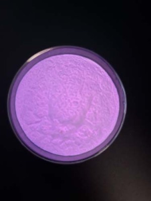 菏泽夜光粉价格