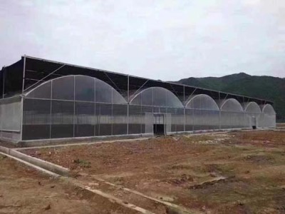 崇左蔬菜大棚钢管设计施工报价