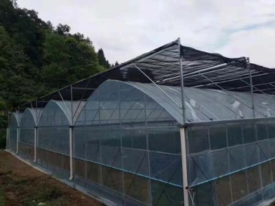 珠海连栋蔬菜温室包工包料