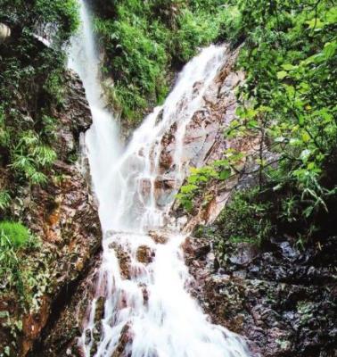 龙泉驿山泉水水质检测-山泉水检测项目