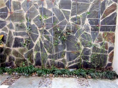 湛江好用的不规则石材图片