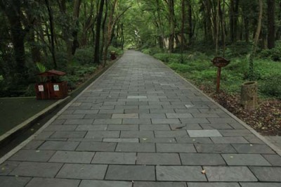 池州青石板石材生产厂家