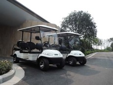 德阳景区电动观光车报价