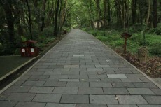 屯昌青石板石材报价