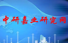 2024-2030年全球和中国数字镇流器市场投资