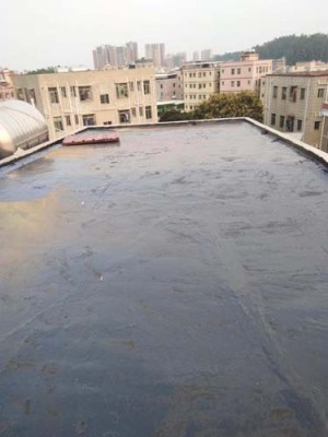 盐田港本地卫生间防水补漏公司电话