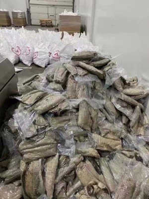 宁波海参进口产品报关一对一服务