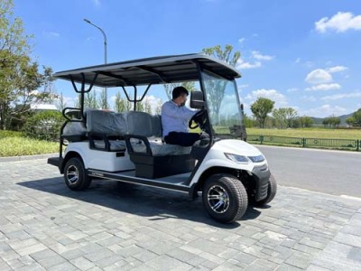 吐鲁番景区电动观光车报价