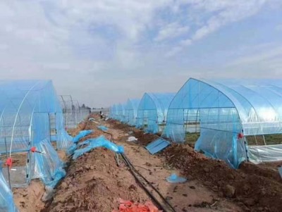 杭州薄膜温室大棚生产安装