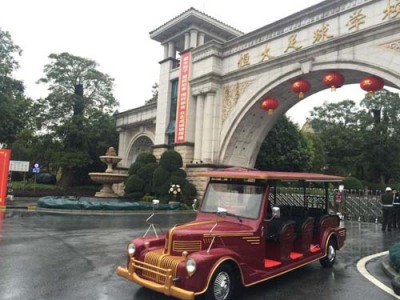 泰安封闭电动老爷车定制