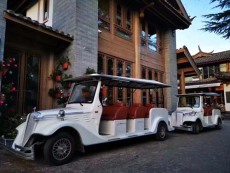 邯郸封闭电动观光老爷车供应