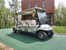 新密景区游览观光车多少钱