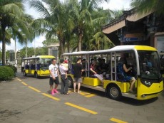 六安公园高尔夫观光车报价