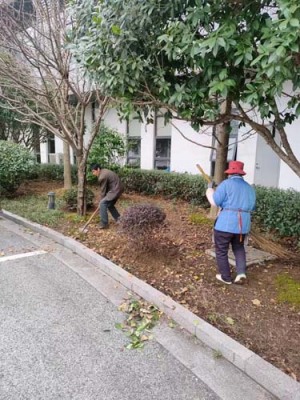 周室内植物租赁价格