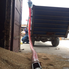大型双向小麦提粮机软管农用抽粮机密封吸料
