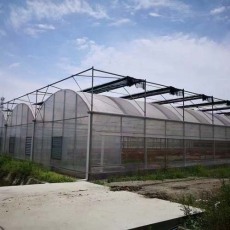 贺州连栋蔬菜温室安装工程