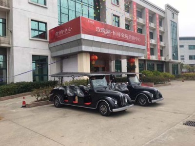 驻马店绿之源电动老爷车供应商